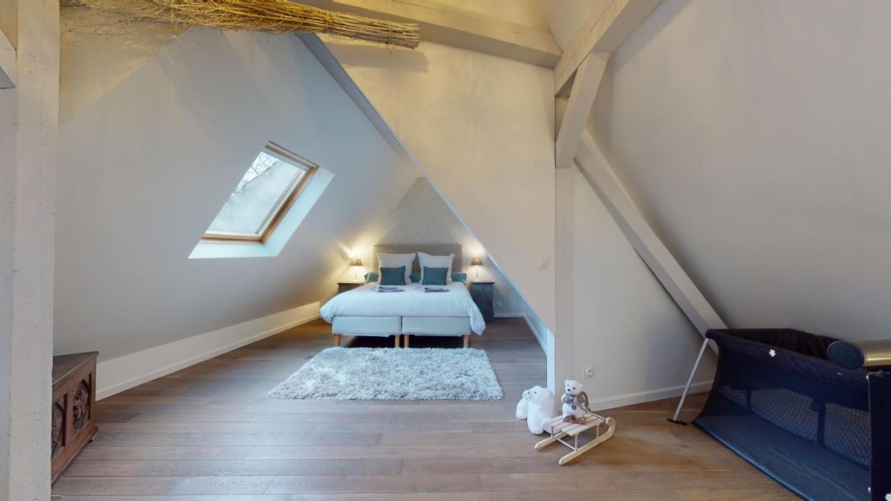 Le Nid De L'ill, Magnifique Duplex Cosy Petite France Apartamento Estrasburgo