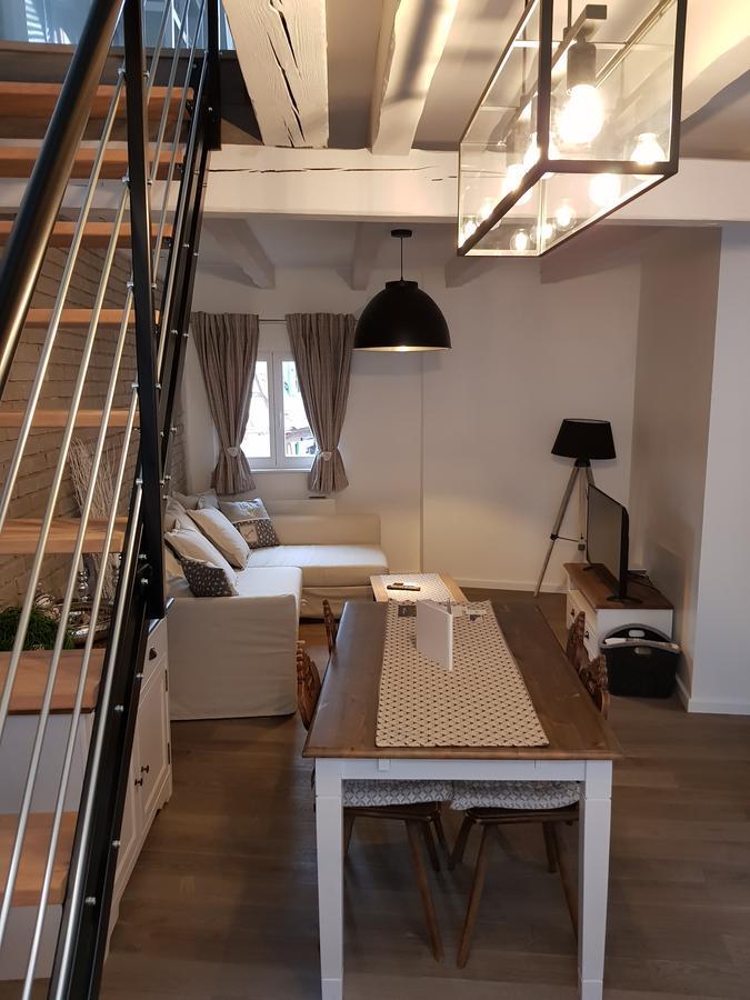 Le Nid De L'ill, Magnifique Duplex Cosy Petite France Apartamento Estrasburgo