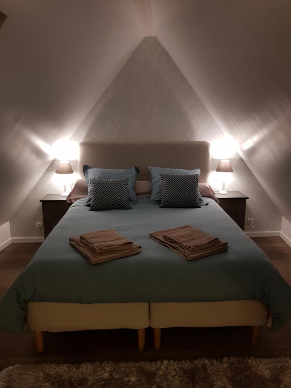 Le Nid De L'ill, Magnifique Duplex Cosy Petite France * Estrasburgo