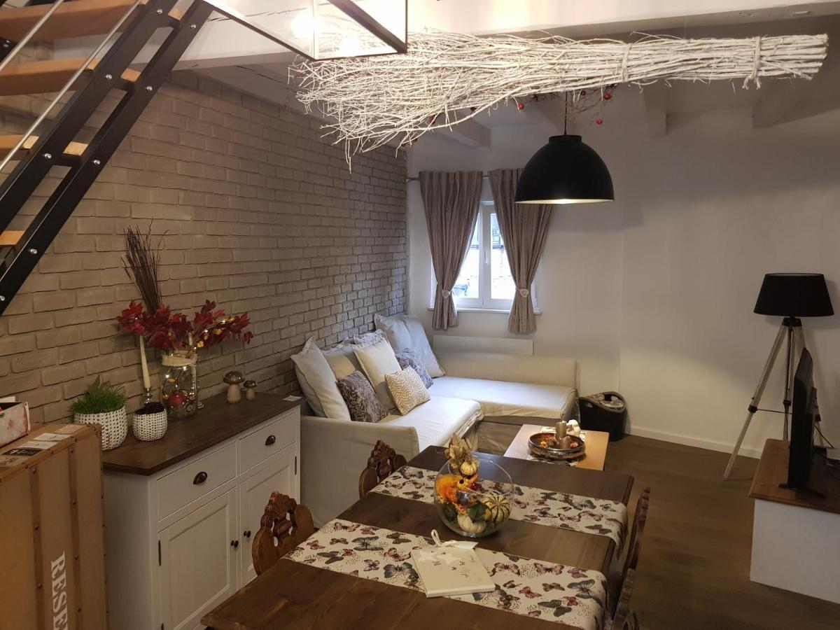 Le Nid De L'ill, Magnifique Duplex Cosy Petite France Estrasburgo