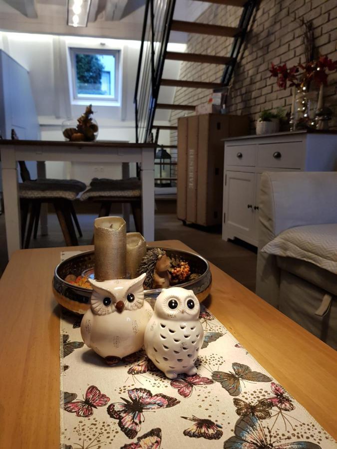 Le Nid De L'ill, Magnifique Duplex Cosy Petite France Apartamento *