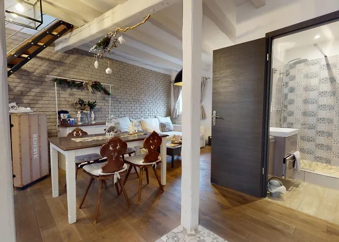Le Nid De L\'Ill, Magnifique Duplex Cosy Petite France
